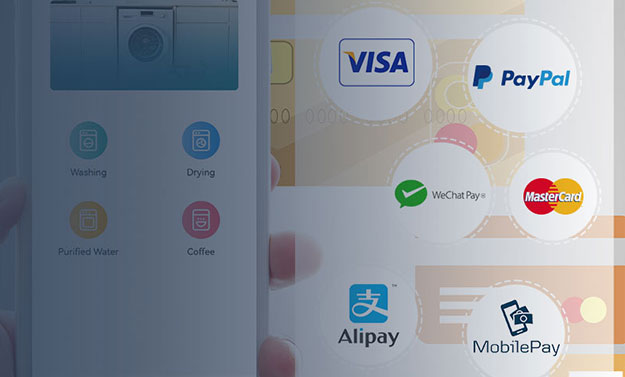 Worldwide Local Payment Integration